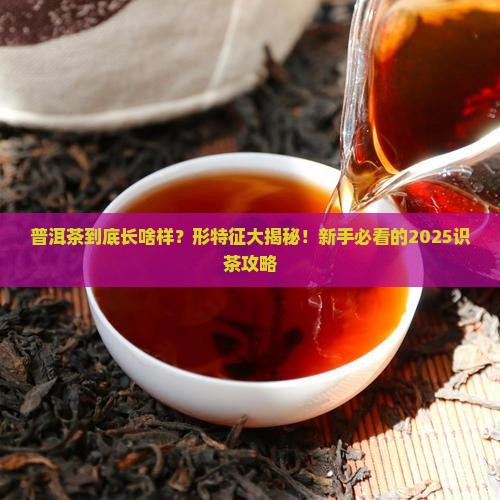 普洱茶的形特征