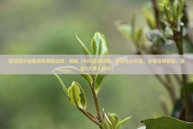普洱茶冲泡器具有哪些功效