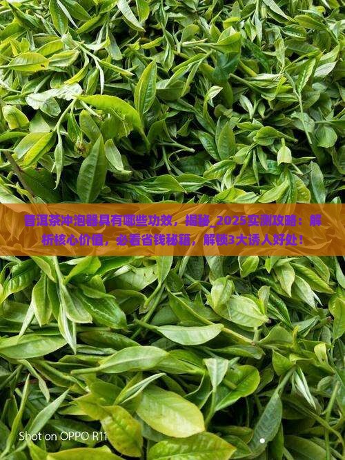普洱茶冲泡器具有哪些功效