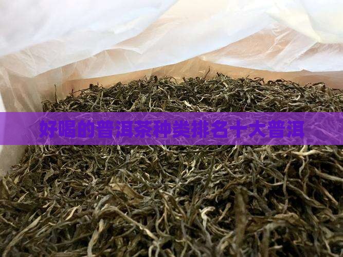 好喝的普洱茶种类排名前十
