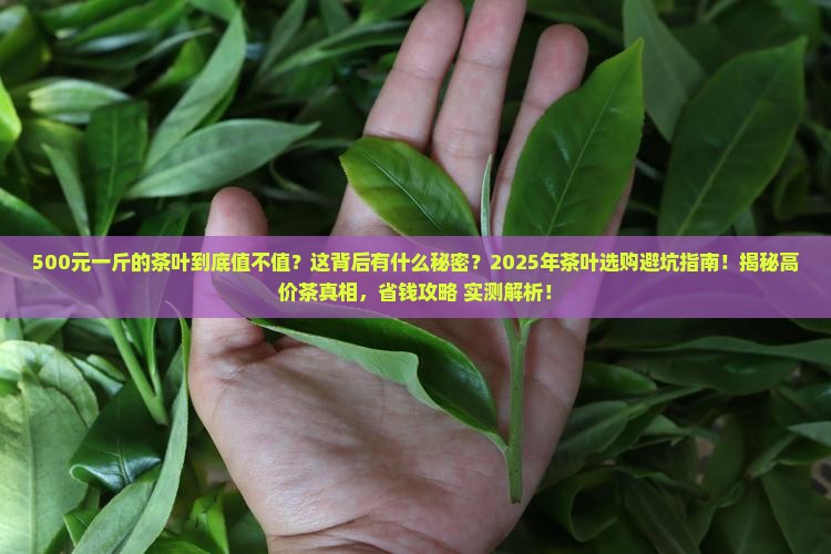 500元一斤的茶叶是什么意思