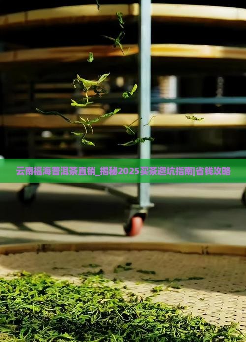 云南福海普洱茶直销