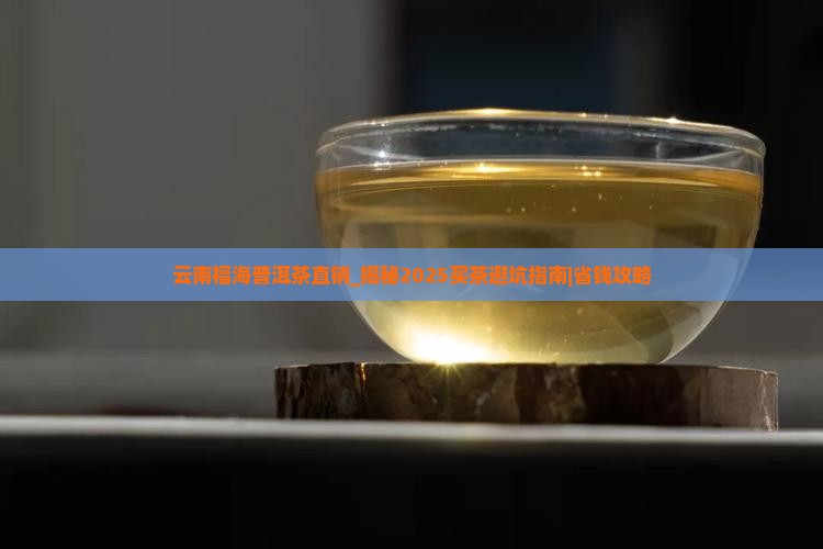 云南福海普洱茶直销
