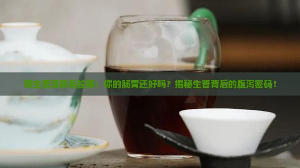 喝生普洱茶后拉稀