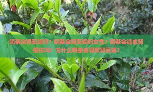 喝茶会肾衰竭吗