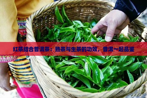红茶结合普洱茶