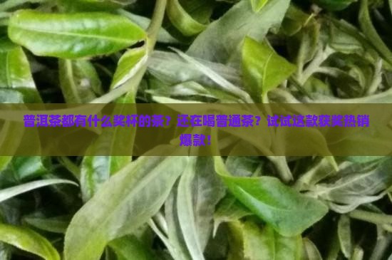 普洱茶都有什么奖杯的茶