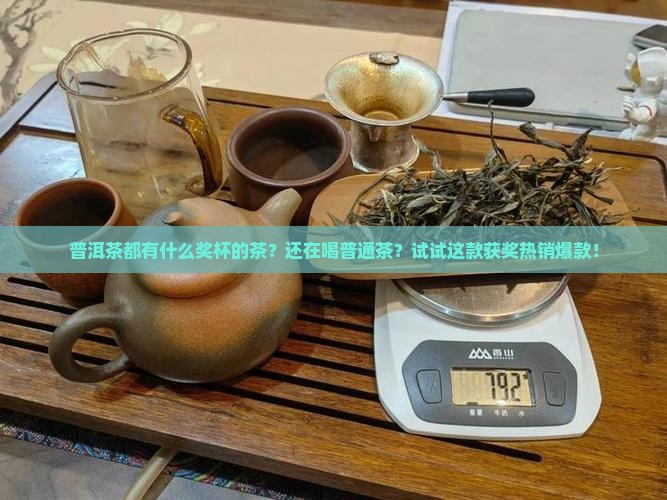 普洱茶都有什么奖杯的茶