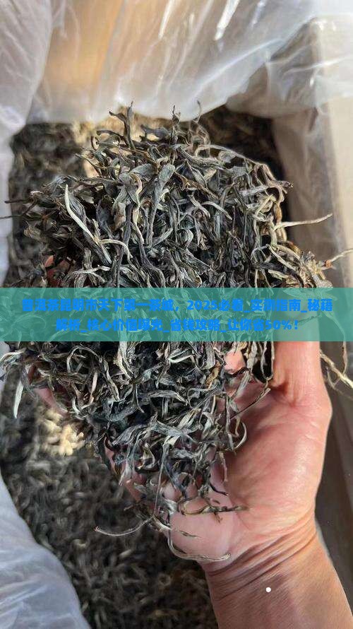 普洱茶昆明市天下第一茶城