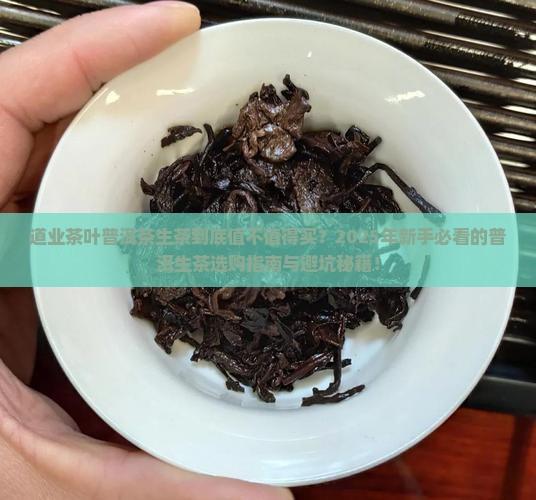 道业茶叶普洱茶生茶