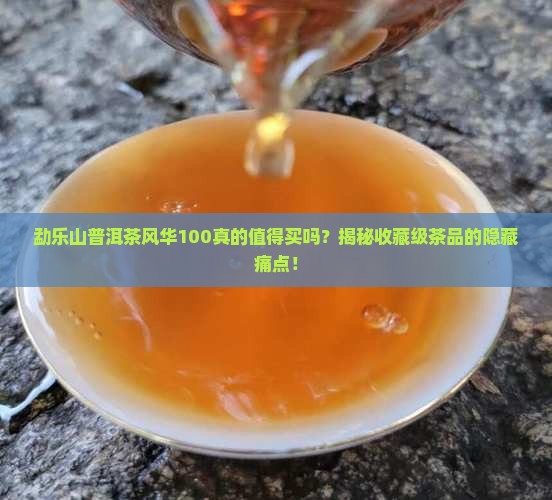 勐乐山普洱茶风华100