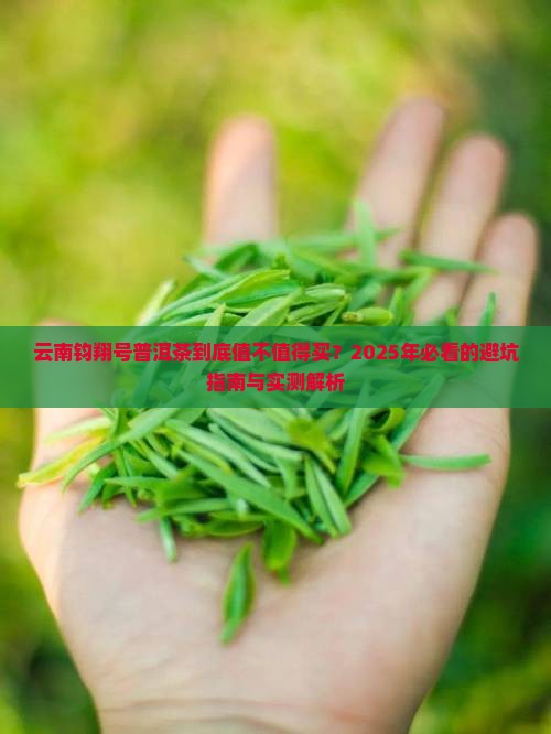 云南钧翔号普洱茶