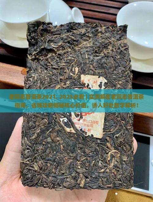 老同志普洱茶2021