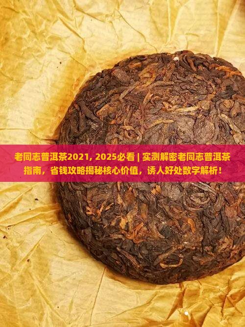 老同志普洱茶2021