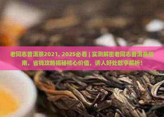 老同志普洱茶2021
