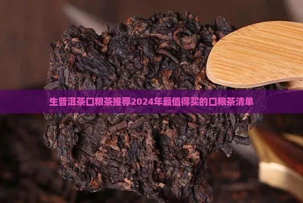 生普洱茶口粮茶推荐