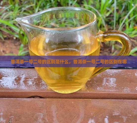 普洱茶一号二号的区别