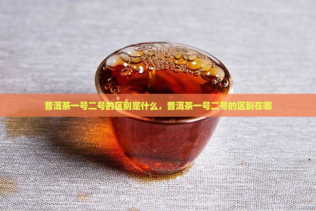 普洱茶一号二号的区别