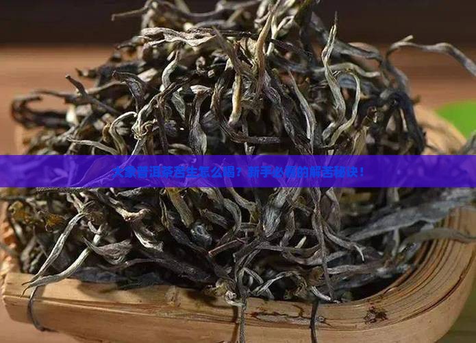 大象普洱茶苦生饮用方法