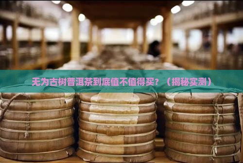 无为古树普洱茶