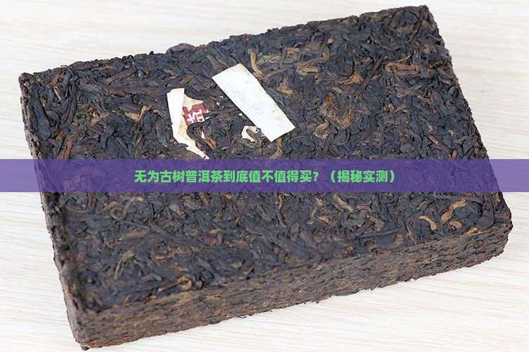 无为古树普洱茶