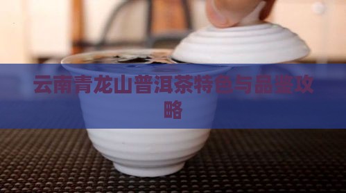 云南青龙山普洱茶特色与品鉴攻略