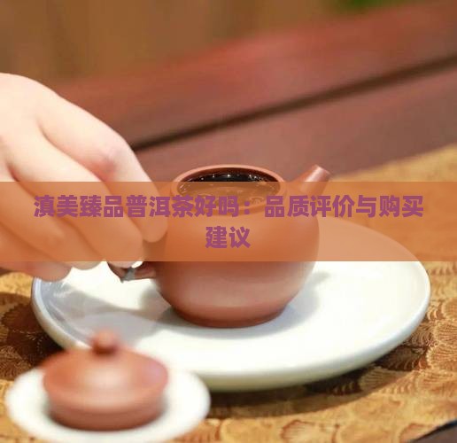 滇美臻品普洱茶好吗：品质评价与购买建议