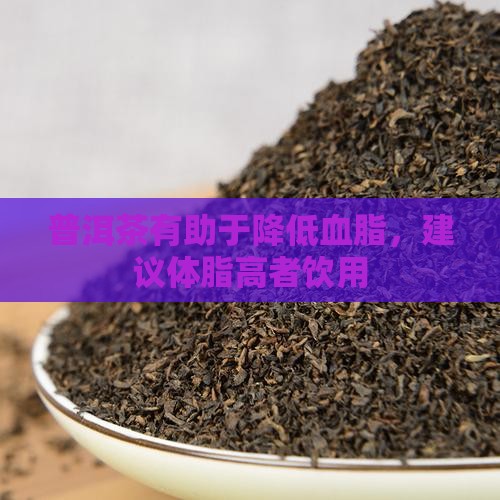 普洱茶有助于降低血脂，建议体脂高者饮用