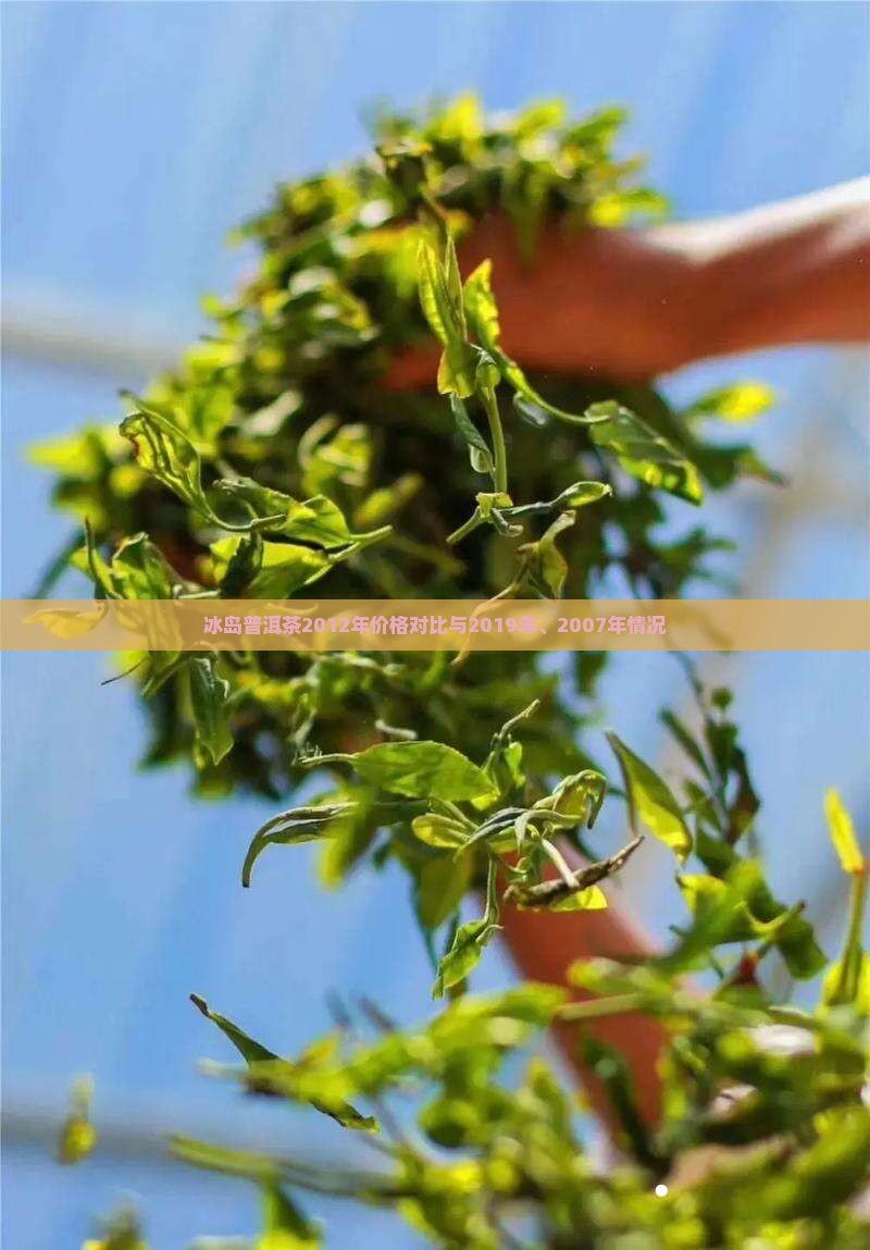 冰岛普洱茶2012年价格对比与2019年、2007年情况