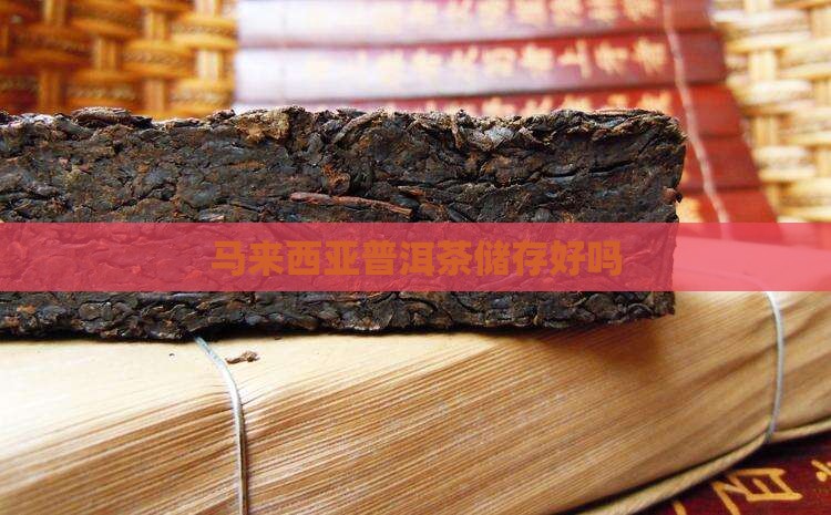 马来西亚普洱茶储存好吗