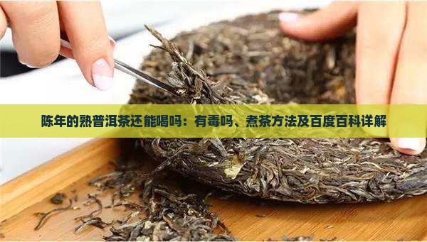 陈年的熟普洱茶还能喝吗：有毒吗、煮茶方法及百度百科详解