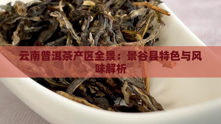 云南普洱茶产区全景：景谷县特色与风味解析