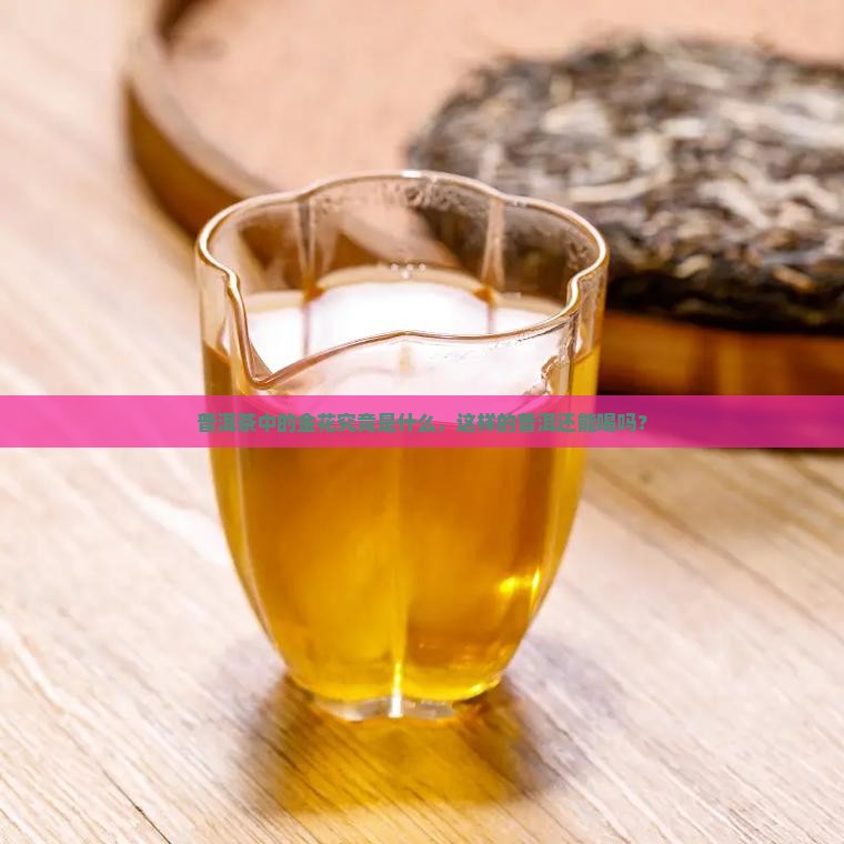 普洱茶中的金花究竟是什么，这样的普洱还能喝吗？