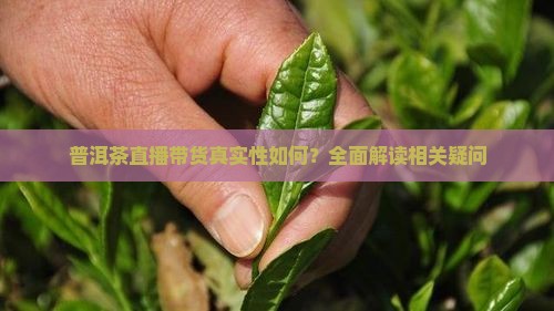 普洱茶直播带货真实性如何？全面解读相关疑问