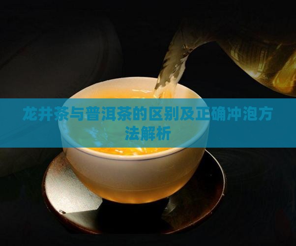 龙井茶与普洱茶的区别及正确冲泡方法解析