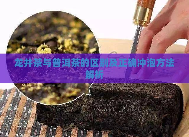 龙井茶与普洱茶的区别及正确冲泡方法解析