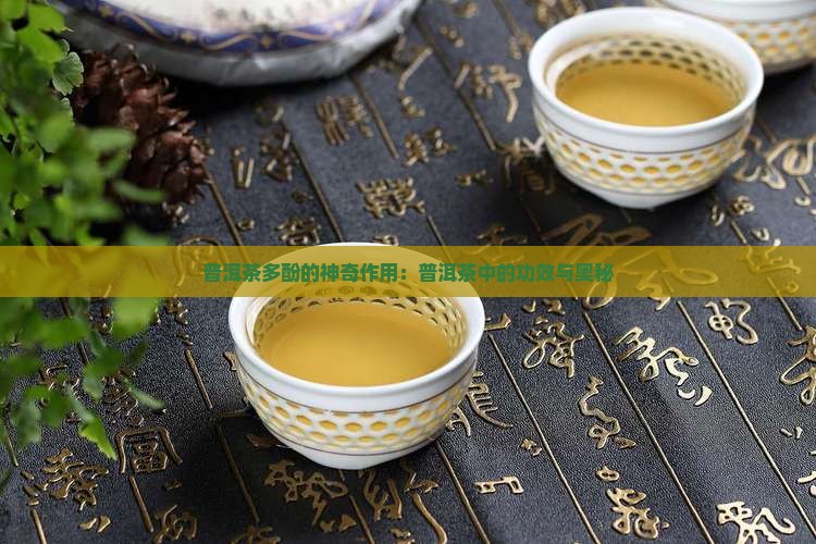 普洱茶多酚的神奇作用：普洱茶中的功效与奥秘
