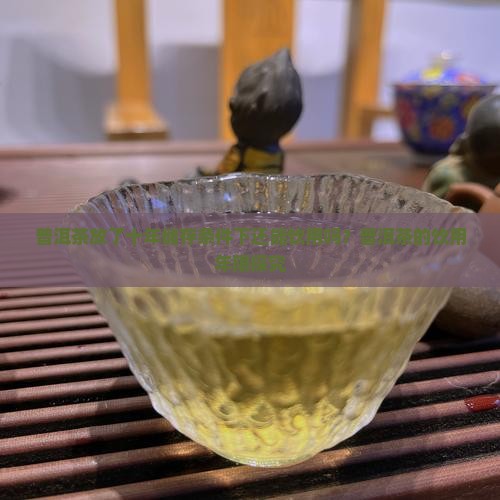 普洱茶放了十年储存条件下还能饮用吗？普洱茶的饮用年限探究