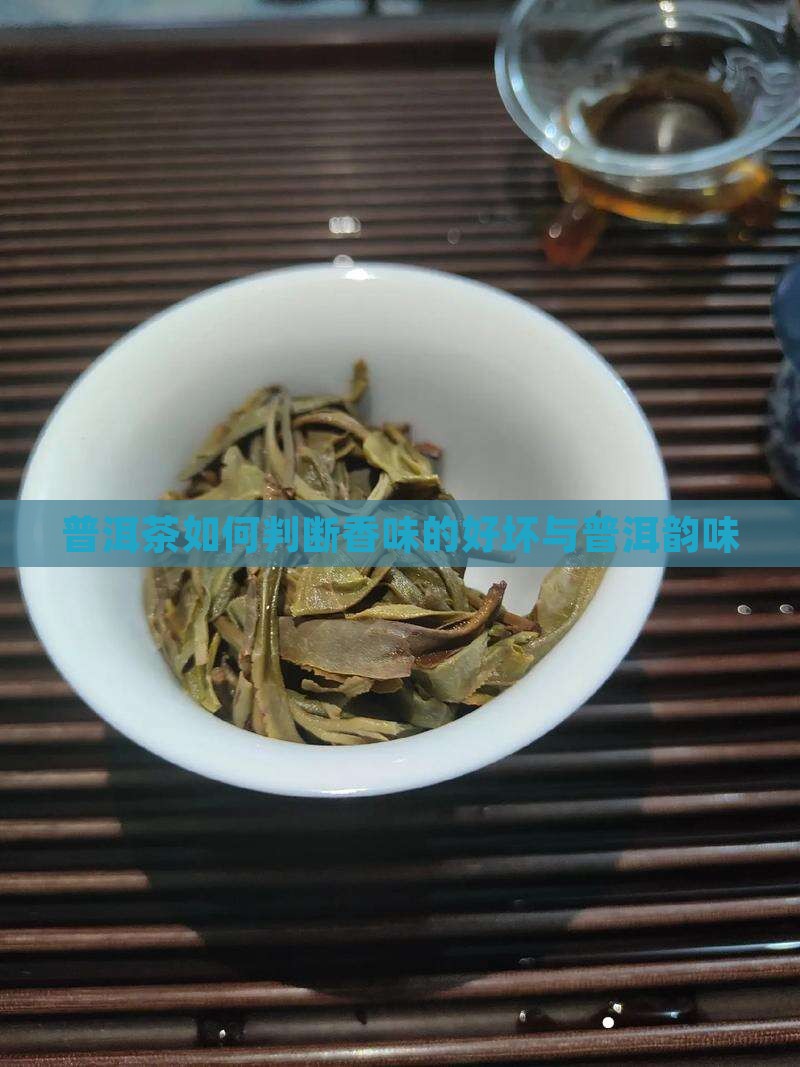 普洱茶如何判断香味的好坏与普洱韵味