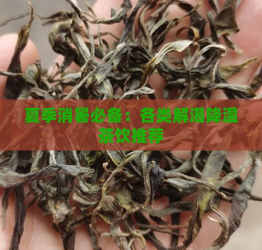夏季消暑必备：各类解渴降温茶饮推荐
