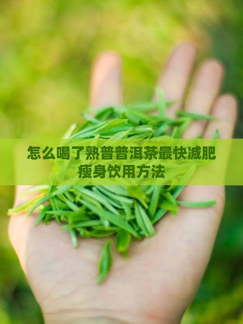 怎么喝了熟普普洱茶最快减肥瘦身饮用方法