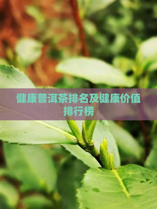 健康普洱茶排名及健康价值排行榜