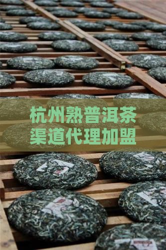 杭州熟普洱茶渠道代理加盟