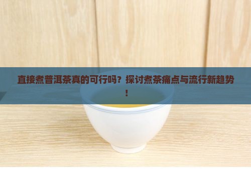 直接煮普洱茶可以吗