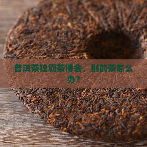 茶博会全给普洱茶占据了