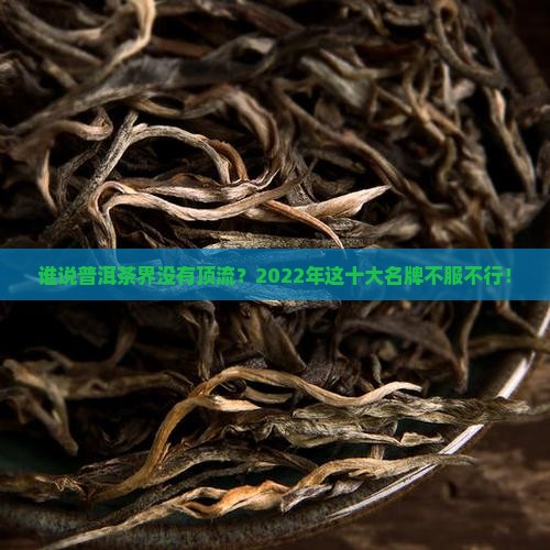 2022普洱茶十大名牌排行榜