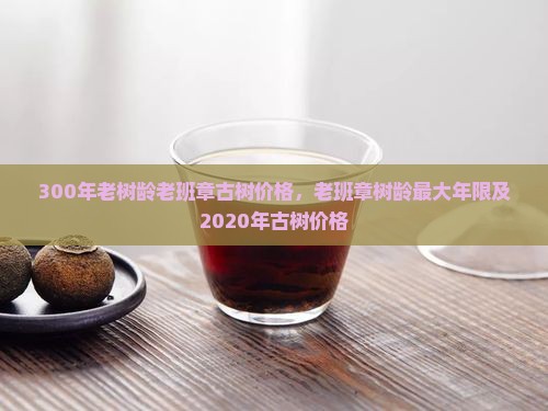 300年老树龄老班章