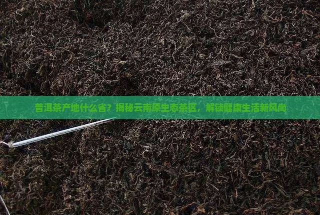 普洱茶产地什么省