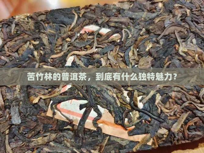 苦竹林普洱茶的特点