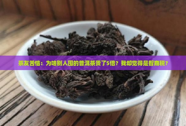 普洱茶为什么被炒的那么高